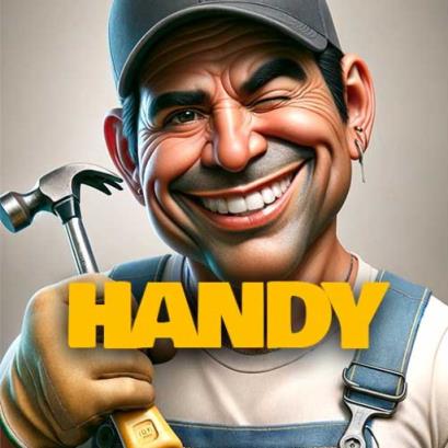 Mr. Handy®