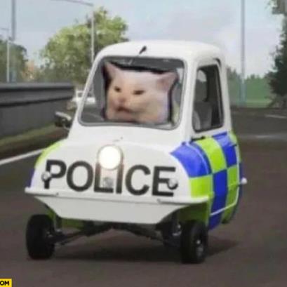 Gen Z Humor Police
